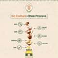 INR 849, Best Gir Cow Ghee Brands In India – Pure A2 Ghee You Can Trust