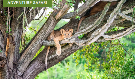 New York, Travel, Explore Africa&rsquo;s Wonders With Image Travel Adventure Tours