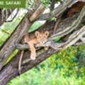 Explore Africa&rsquo;s Wonders With Image Travel Adventure Tours