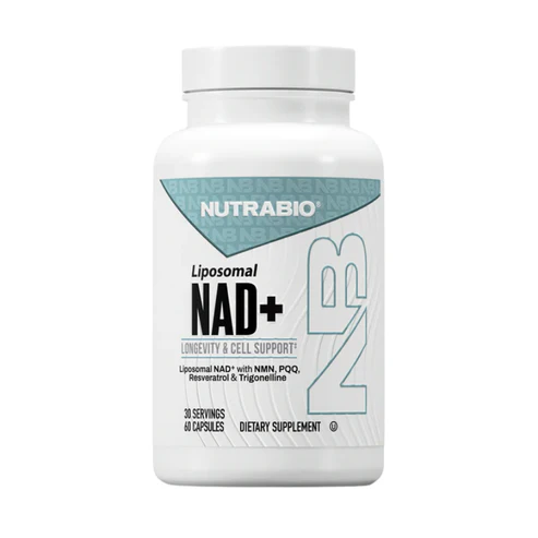 New York, Health, Best Protein Powder In Stone Mountain For Fitness & Wellness