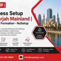 Business Setup In Sharjah Mainland | Company Formation - NuSetup