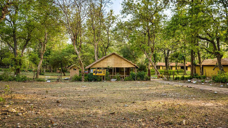 Mumbai, Travel, Safari Stay Near Bijrani Zone | Wildlife Escape In Corbett