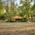 Safari Stay Near Bijrani Zone | Wildlife Escape In Corbett