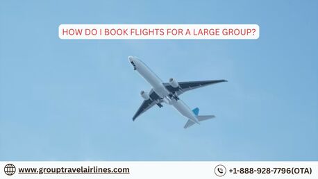 New York, Travel, How Do I Book Flights For A Large Group?