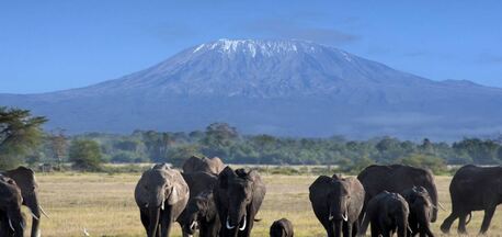 Nairobi, Travel, Luxury African Safari Tours