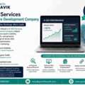 AI SEO Services For Software Development Company - Growth Naavik