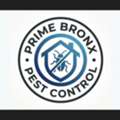 Prime Bronx Pest Control