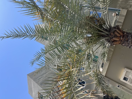 Hamad Town, Apartments, Flats, Houses & Villas, BHD 99/month,  3br Flat Near Lozi And Hamad Town For Tent