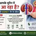 Kidney Disease Symptoms You Should Never Ignore