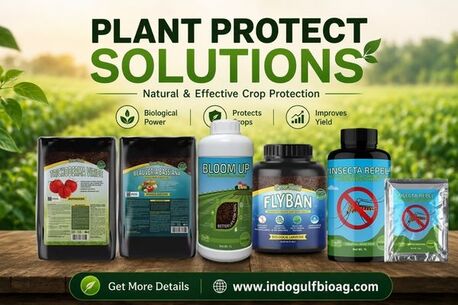 New York, Farm & Garden, Plant Damage Noticed? Try Pesticides For Agriculture &ndash; Enquire Now