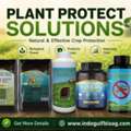 Plant Damage Noticed? Try Pesticides For Agriculture &ndash; Enquire Now