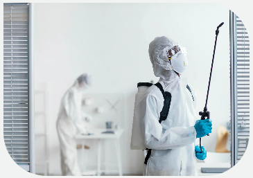 Mumbai, Cleaning, Fumigation Services In Mumbai For Effective Pest Control And Complete Protection