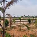 INR 35000,  200 Sq. Yard,  HMDA & RERA  APPROVED Open Plots For Sale @ Adibatla