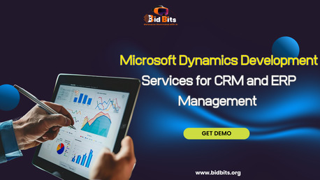 Vienna, Software Development, Microsoft Dynamics Development Services For CRM And ERP Management