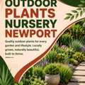 Outdoor Plants Nursery Newport &ndash; Quality Plants For Every Garden