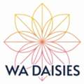 WA Daisies