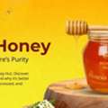 INR 899,  Acacia Honey &ndash; Pure Floral Honey With A Delicate Taste