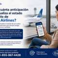 ¿Con Cuánta Anticipación Se Actualiza El Estado De Vuelo De Copa Airlines?