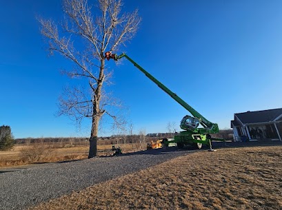 Ottawa, Cleaning, Green Thumb Tree Specialists Inc.