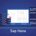 SAP Training In Lucknow &ndash; Learn SAP With Industry Experts