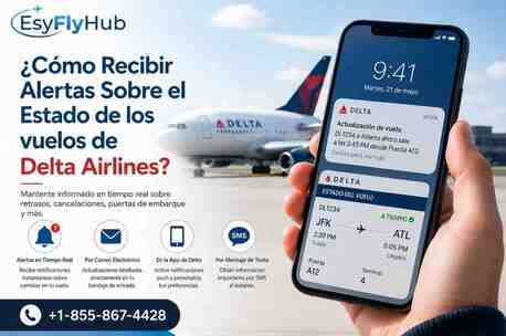 New York, Travel, ¿Qué Necesito Para Rastrear Un Vuelo De Delta?