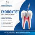 Endodontist In Chandigarh For Advanced Root Canal Treatment
