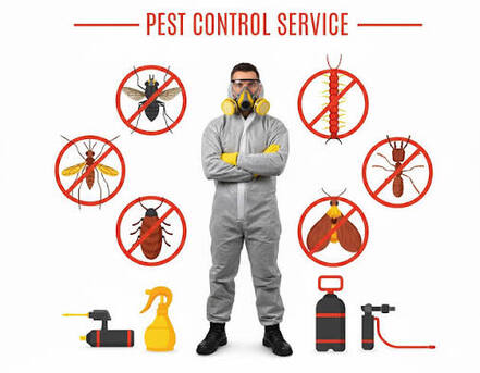 Al Yarmouk, Pest Control, ✅✅✅ PEST CONTROL SERVICES RIYADH – ✅ 057 007 6842 ✅✅✅