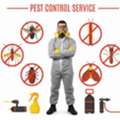 ✅✅✅ PEST CONTROL SERVICES RIYADH – ✅ 057 007 6842 ✅✅✅