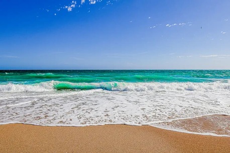 Mexico City, Restaurants, Sun, Sand, And Paws: Pet Friendly Beachfront Rentals In Rocky Point