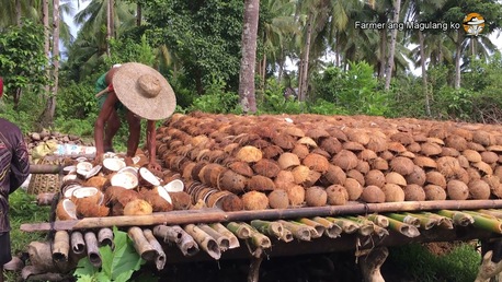 Manila, Food, USD 3000,  Buy Premium Coconut Oil Wholesale &ndash; Bulk Coconut Oil Supplier