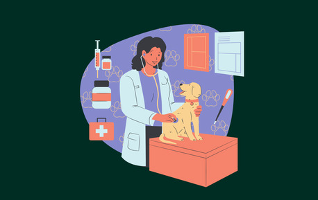Berlin, Business, Reach Veterinary Professionals With Our Email List Of Vets