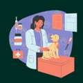 Reach Veterinary Professionals With Our Email List Of Vets