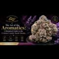 USD 39,  Cotton Candy Strain Guide: Genetics, Terpenes & Growing Tips