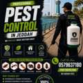 🏆 Pest Control Services In Al Rawdah, Jeddah – Guaranteed Results