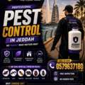 💥 Best Pest Control Company Al Safa, Jeddah