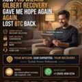 My Recovery Journey With Pro Wizard Gilbert Recovery