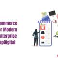 Shopify Ecommerce Solution For Modern Brands & Enterprise Growth | XapDigital