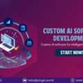 USD 5000,  Custom AI Software Development For Business Innovation