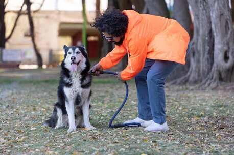 Bhubaneswar, Pet Sitting, Dog Training Service In Bhubaneswar