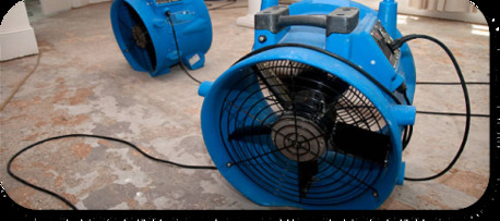 Sydney, Cleaning, Wet Carpet Cleaning Sydney - Flood Services Sydney