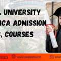 DY PATIL UNIVERSITY ONLINE MCA Admission Process, Courses
