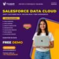 Salesforce Data Cloud Training | Online Course