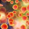Mycoplasma Testing Cell And Gene Therapy Products | Quality Assurance Services