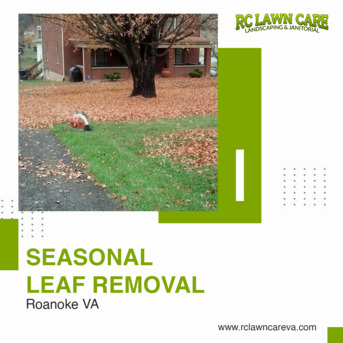 New York, Cleaning, Top Janitorial Services In Roanoke, VA | RC Lawn Care