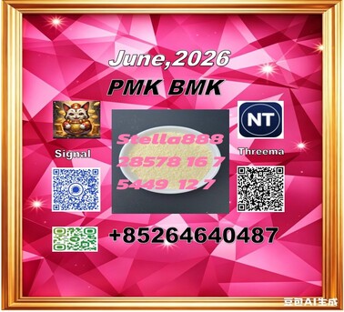 Hong Kong, Materials, CNY 100,  New Cas 28578-16-7 PMK BM-K Cas 5449-12-7 Hot Sale
