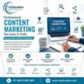 Professional Content Marketing Services In India | Boost Your Online Presence