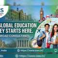 Navigating International Admissions: The Ultimate Guide To Study Abroad Consultants