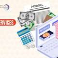 Expert Payroll Services In Delhi For Small And Large Businesses