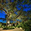 LED Landscape Lighting Coral Gables