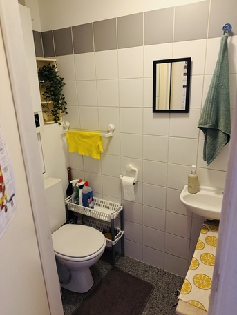 Brussels, Apartments, Flats, Houses & Villas, EUR 875/month,  1 BR,  Nice App 54 M2 Licht, Furnished, Best Area